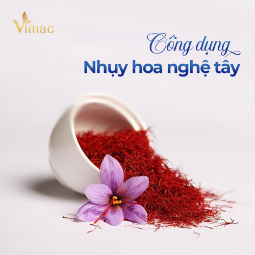 CÔNG DỤNG NHỤY HOA NGHỆ TÂY ĐỐI VỚI SỨC KHỎE VÀ TRONG LÀM ĐẸP 