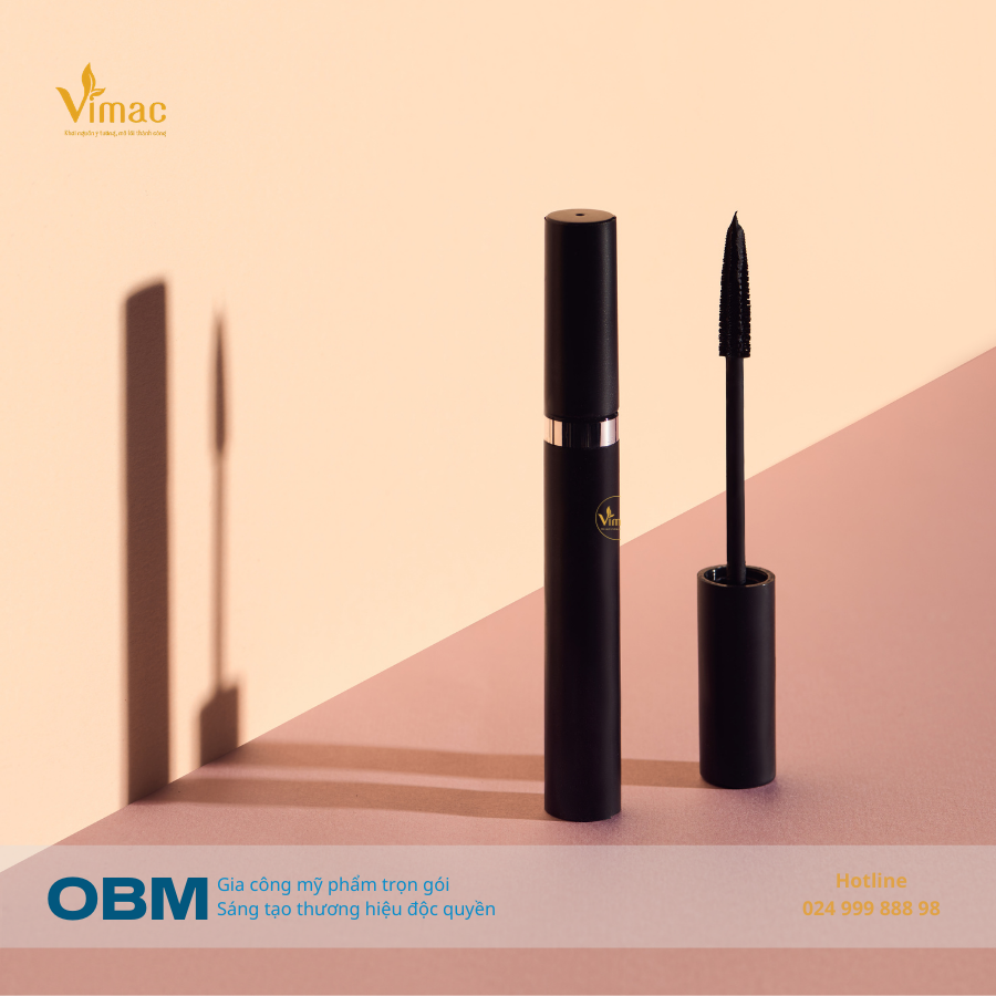 Bản sao của Bản sao của Bản sao của Bản sao của OBM (5)