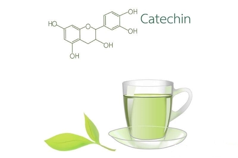 catechin-la-gi-2